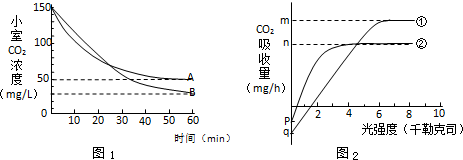 侥幸逃生的司机