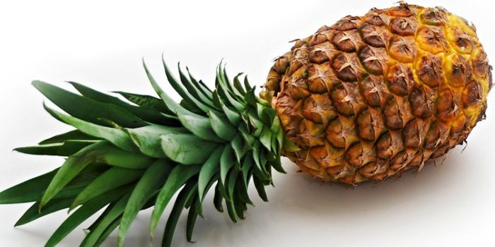 以早乙女香夏子为例 产品主图