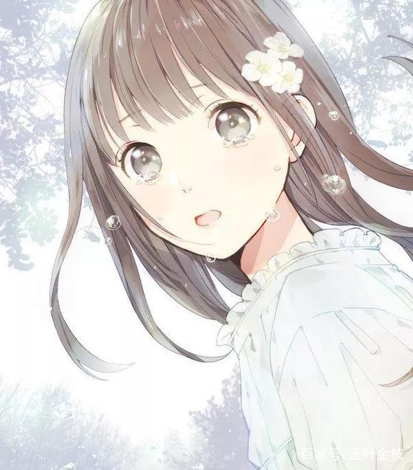 侦探芭比 产品主图