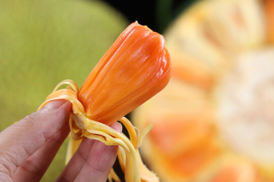 伽利略特别篇 相关产品