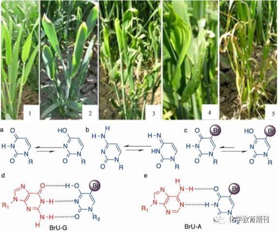 你在这里 相关产品