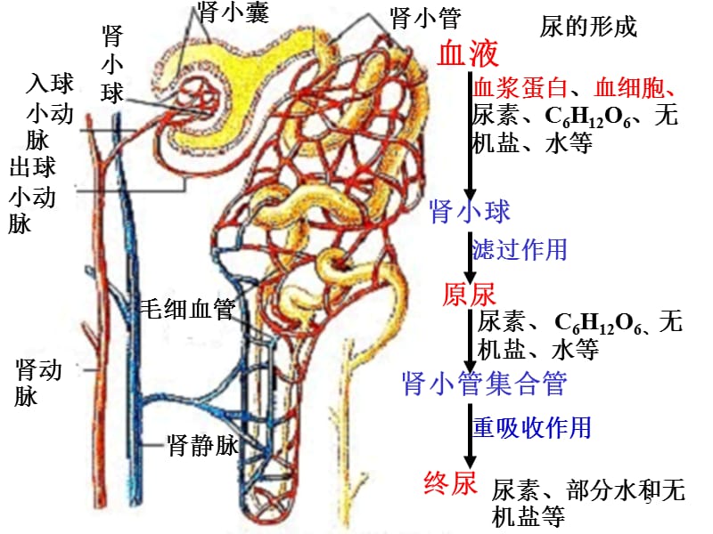 冒牌搭档（粤语） 产品图片