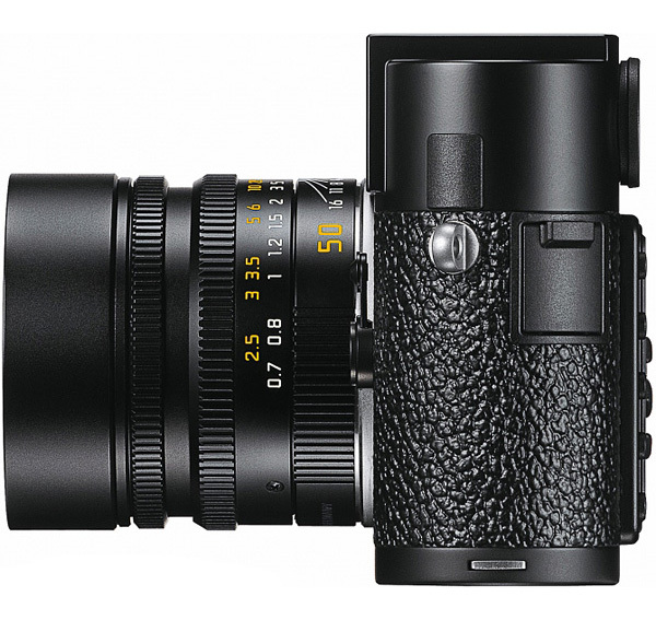 偷龙转猫 相关产品