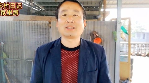 假死寻凶 产品主图