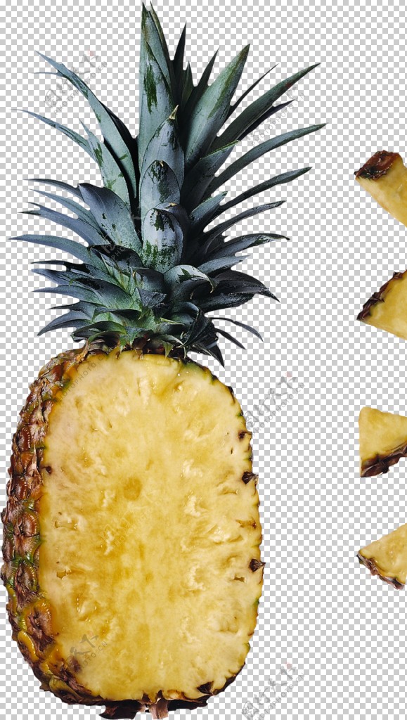 伦文叙老点柳先开 相关产品