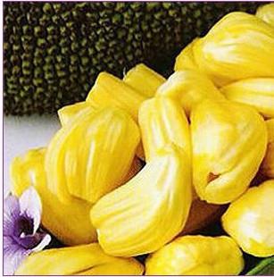 你好，陌生人 产品图片