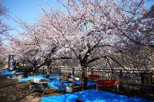 后遗症患者 产品图片