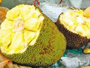 伽利略特别篇 相关产品