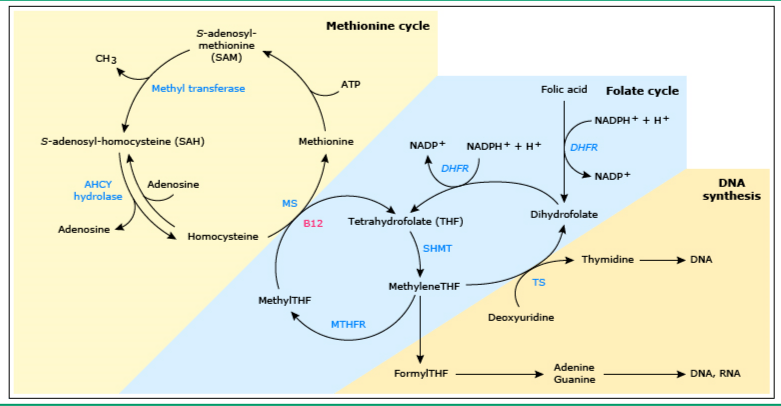 伤心的奶水 相关产品