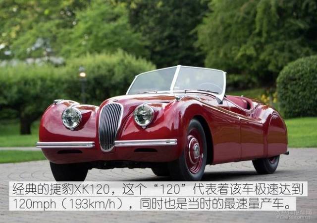 侠僧探案传奇之洛阳花会 产品图片