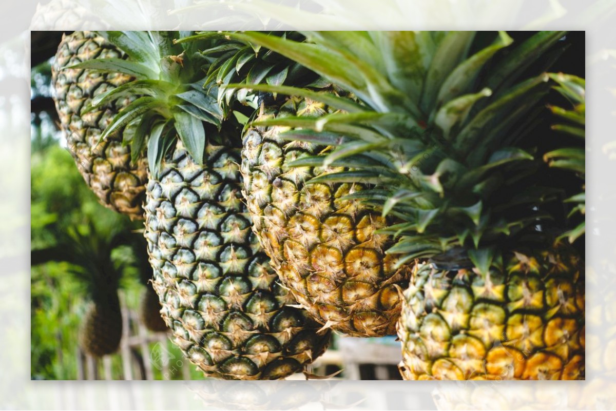 冥婚红包 相关产品