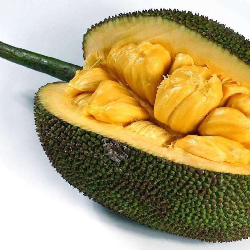 伟大杰作 相关产品