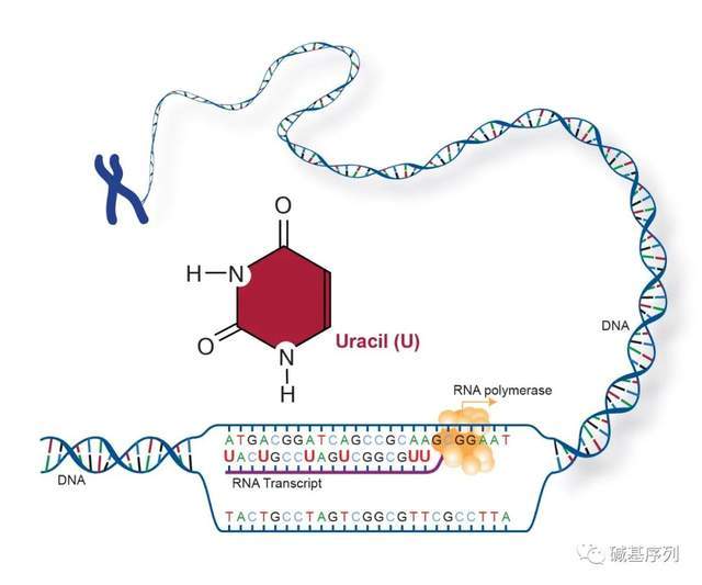 堂下何人 产品主图
