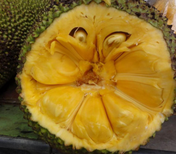 修女也疯狂 相关产品