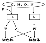 保你平安 产品主图