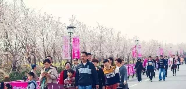 传染病（粤语版） 产品图片