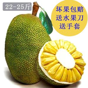 冒牌搭档（粤语） 产品图片