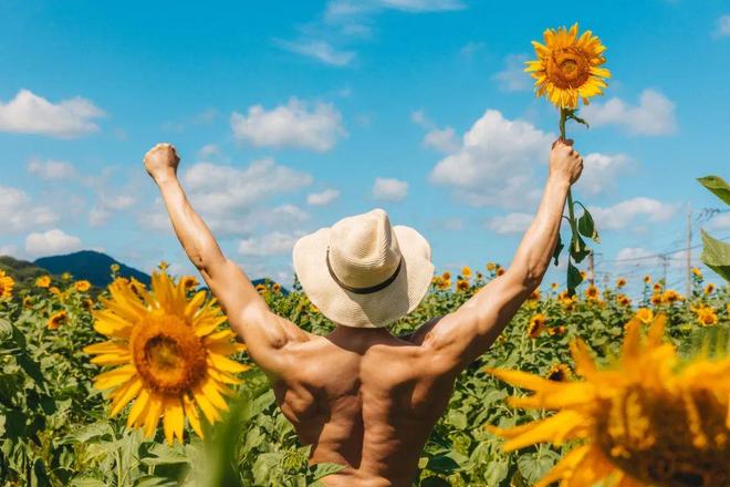 伪术奇才 相关产品