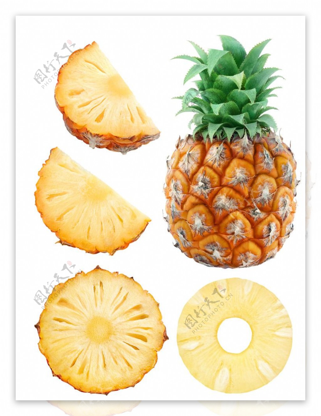 傀儡姬 推荐产品