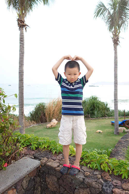 冰川鲨鱼 相关产品