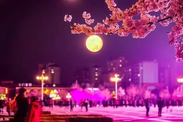 倩女幽魂3：道道道 (粤语版) 产品图片