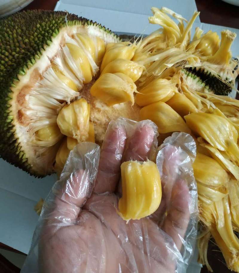 保你平安 相关产品