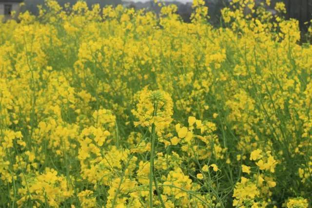 伤物语1：铁血篇 相关产品