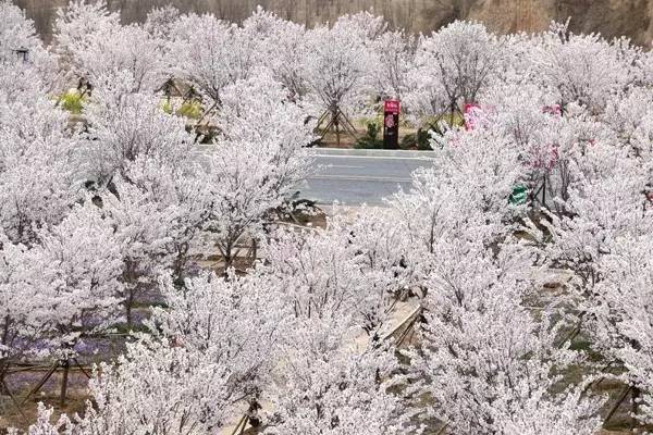 受到诱惑的女人 相关产品