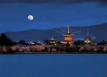 复仇之火 产品图片