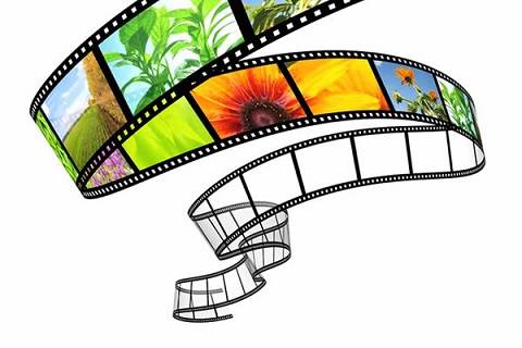 你的老鼠朋友 产品图片