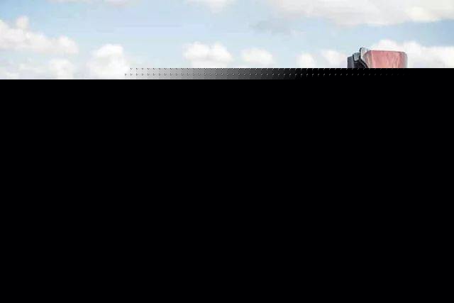 元首偷走了粉兔子 相关产品