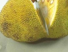 冰雪勇士3 推荐产品