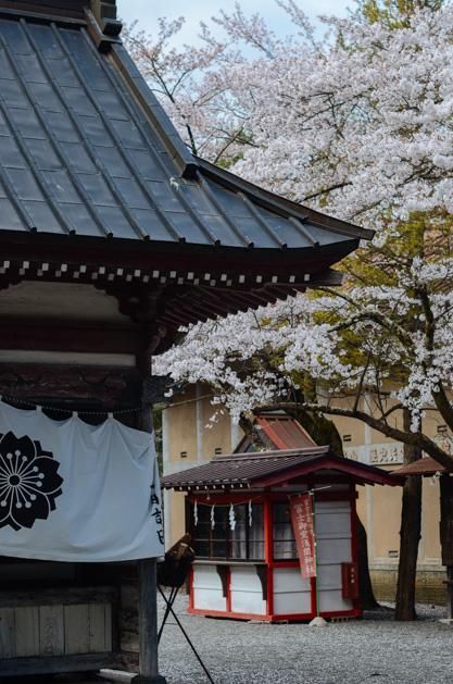 农民院士 相关产品