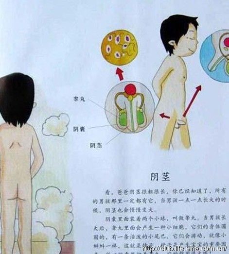 冒牌搭档（粤语） 产品图片