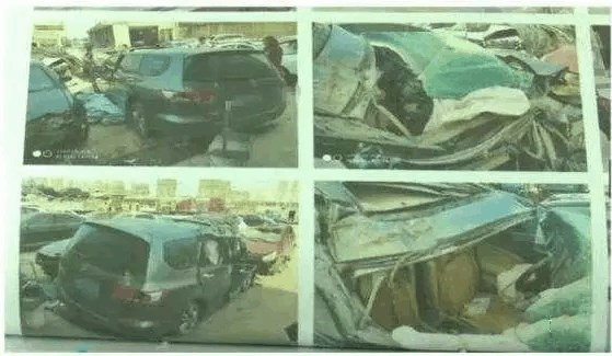 冰山上的来客 产品图片