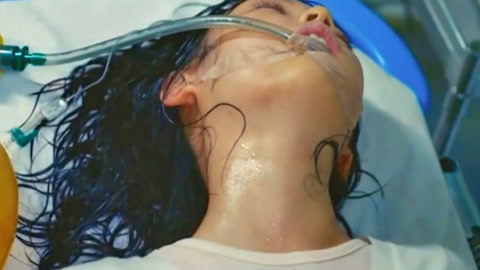 哈尔的移动城堡 相关产品