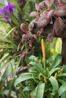 信号100 推荐产品