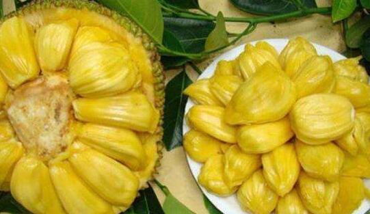 信·守 产品主图