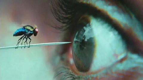 四大神兽外传 推荐产品