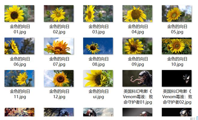 以早乙女香夏子为例 相关产品