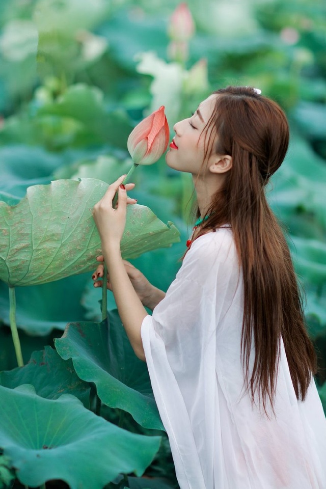 傲慢与善良 相关产品