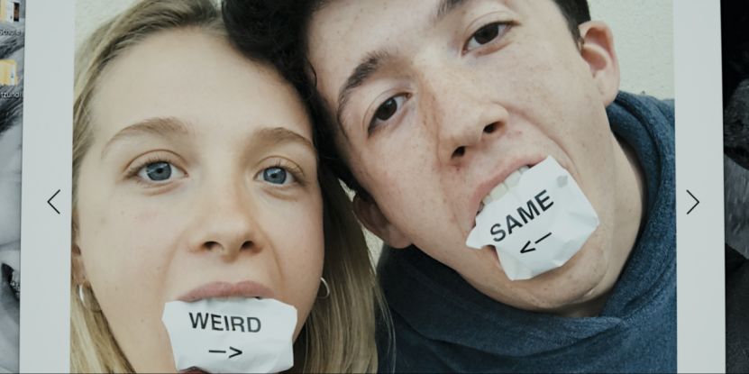 冰川鲨鱼 产品图片