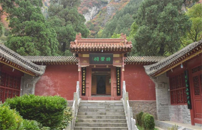 你伤害了我 产品图片