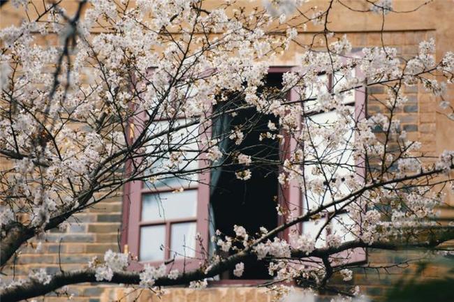 世界奇妙物语 2017年春季特别篇 产品主图