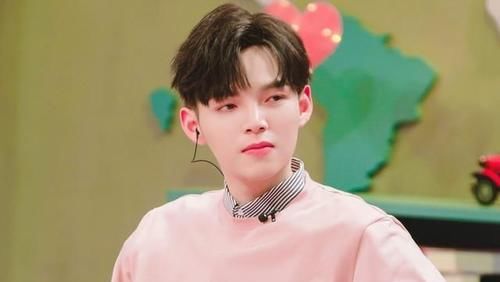 你好，陌生人 相关产品