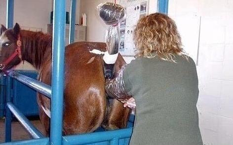 传染病（粤语版） 相关产品