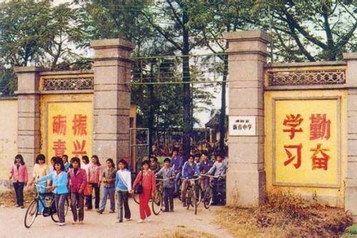 冬荫功 产品图片