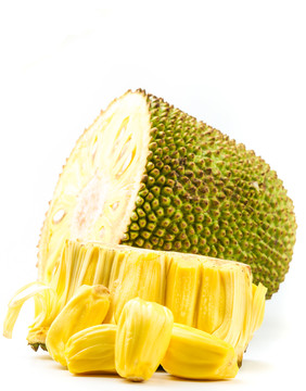 冷冻休眠 产品图片