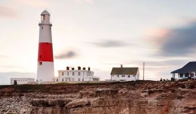 冷面虎 相关产品