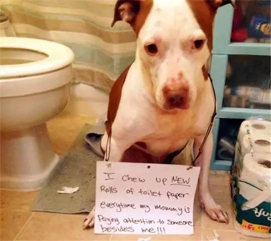 兄弟出头天 相关产品